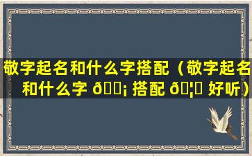 敬字起名和什么字搭配（敬字起名和什么字 🐡 搭配 🦁 好听）